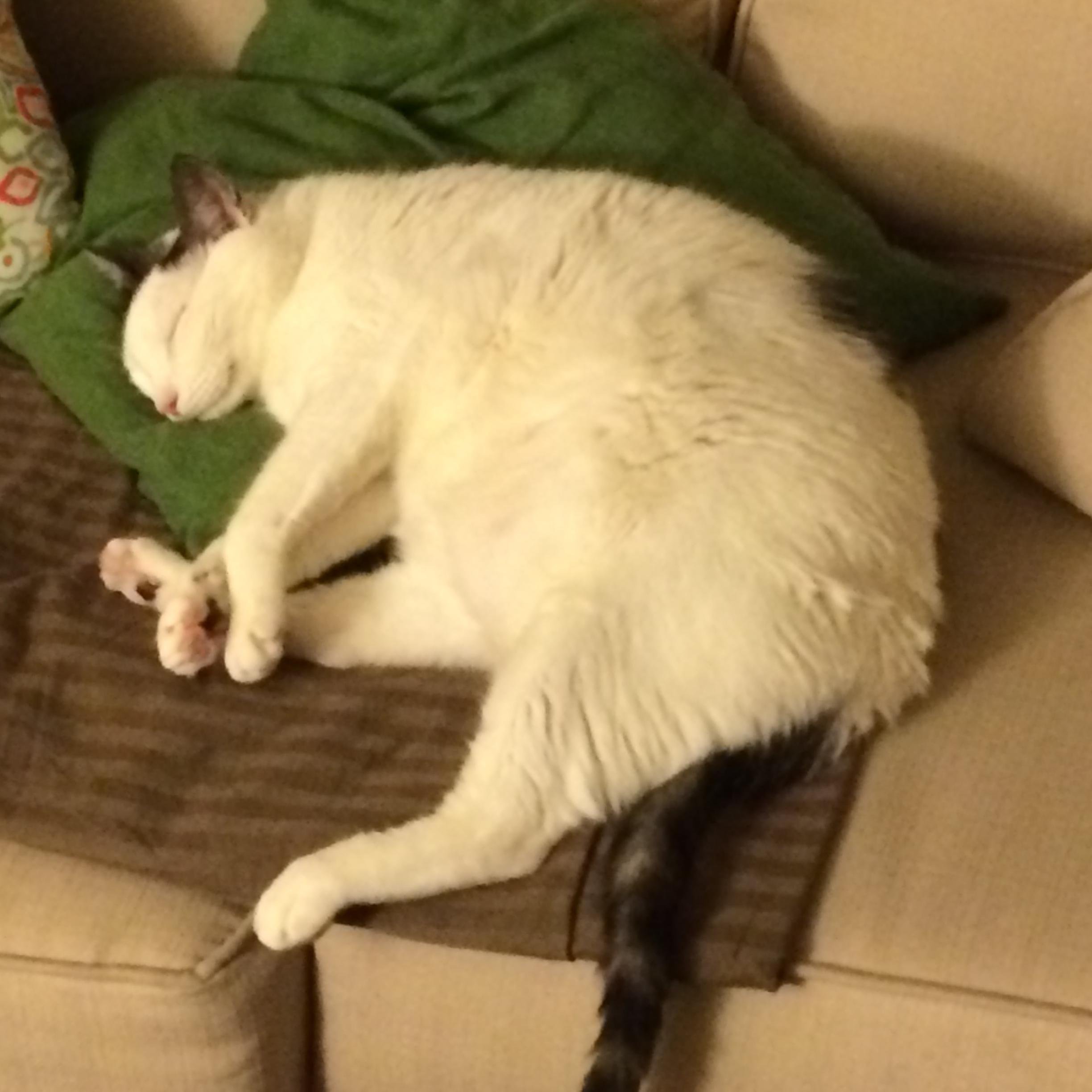 thedailystinky's profile picture. 