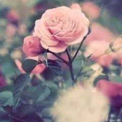 ChrisBaidoun's profile picture. 