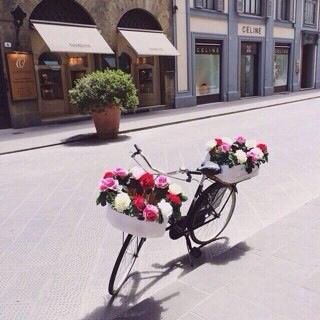 اذا لم يكن صفو الوداد طبيعتاً ، فلا خير في ودٍ يجيء تكلفا .✨