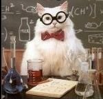 nerdistcat's profile picture. VIPKid teacher. Mom to chicka-dee-dee-dee-dee-dee-dee-dee-dee-dee, & Bonnie McMurray.