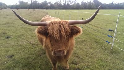 KarlG91's profile picture. 