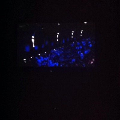 OviedoIsBoss's profile picture. overload❤️