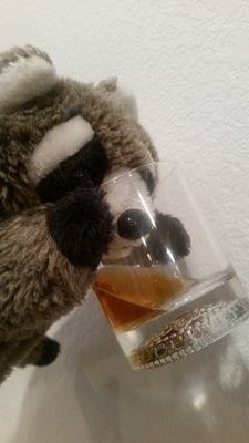 RaccoonWhiskey's profile picture. Lost my mind in a bottle of whiskey.