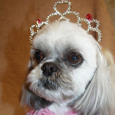 Loveless1918's profile picture. 