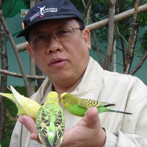 GeorgeYong's profile picture. 