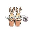 Dawn Otterson - @OttersonDawn - Twitter