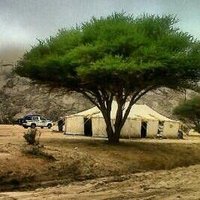 محمد آل منصور (@mohmadhamad54) 's Twitter Profile