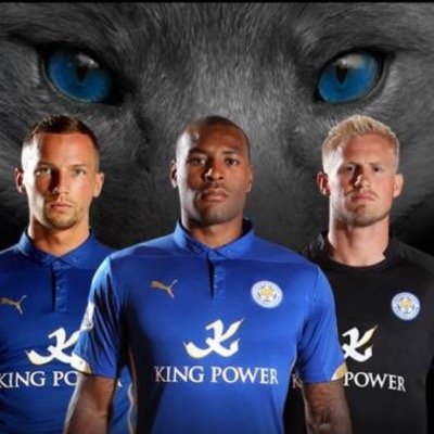 Leicester City fan page! best fans in the world!
daily updates and chats about the boys, will always follow back!could you share the page to try and get it big!
