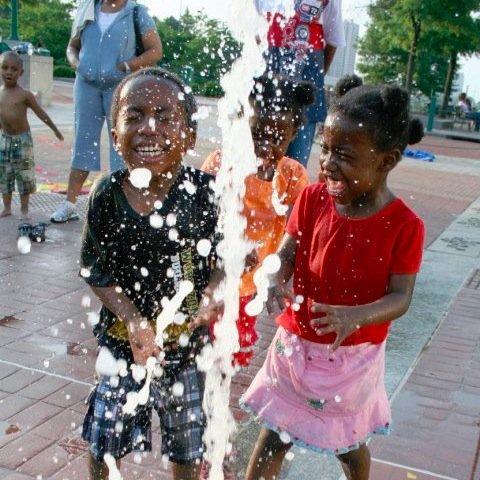 virginiavbarry's profile picture. Cultivating Community, Non-Violent Communication and Compassion