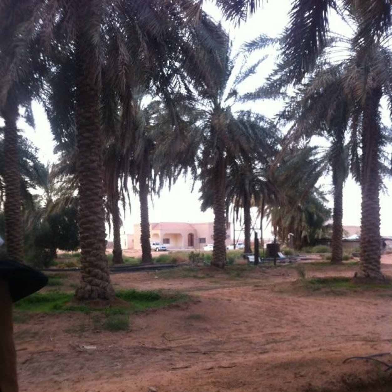 حسابي الجديد ..