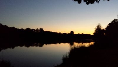 talentedtongue1's profile picture. 