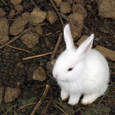 あなたが幸せでありますように