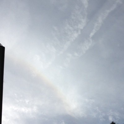 BBQQueenCT's profile picture. Former BBQ caterer, now administrative assistant, best job of Mimi, anti GMO, anti Chemtrail, extrememly anti Vaccine and anri fluoridated water. Pro 2A!