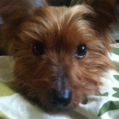 alext200379's profile picture. Twitch Stream | Content Creator | Creator code is ttv_alext200312