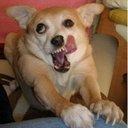 Eric Arias - @SoddenVenus - Twitter