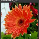 Kim Holbert - @HolbertKim - Twitter