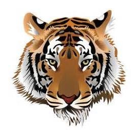 Official Twitter Account for the Demopolis Middle School Tigers