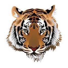 DMS_Tigers Profile Picture