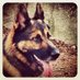 Taylor (@taylortharris) Twitter profile photo Taylor (@taylortharris) Twitter profile photo