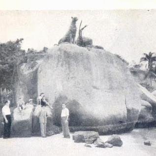 wladsinistro2's profile picture. 