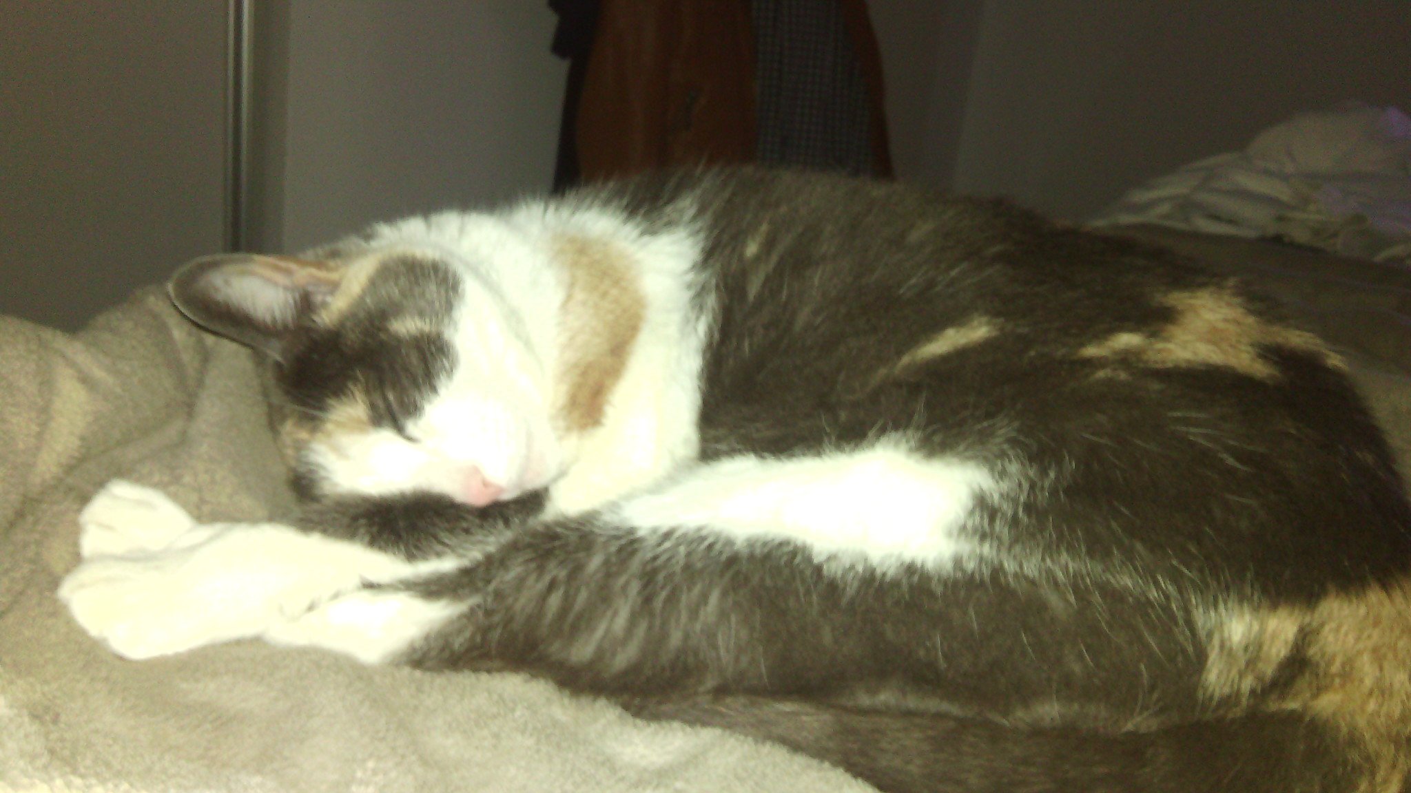 oren_sil's profile picture. 