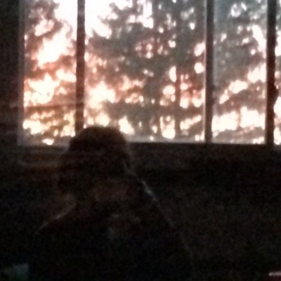 I_elle_oh_vee_u's profile picture. 17 | Depressed | anxiety| suicidal | just fucking lonely| despite my problems if you ever need to talk I'm here for you