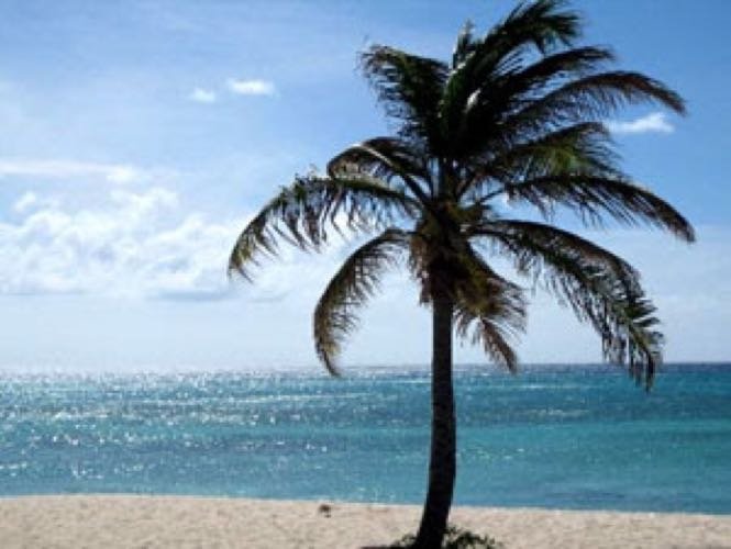 ChrissyLev's profile picture. 