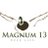 TheMagnum13's profile image