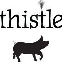 Thistle Pig (@thistlepigmaine) 's Twitter Profile