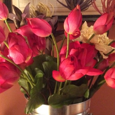 nolamachen's profile picture. In love with my adopted city Atlanta and completely obsessed with salvaging unwanted furniture and getting them all 'gussied' up and adopted