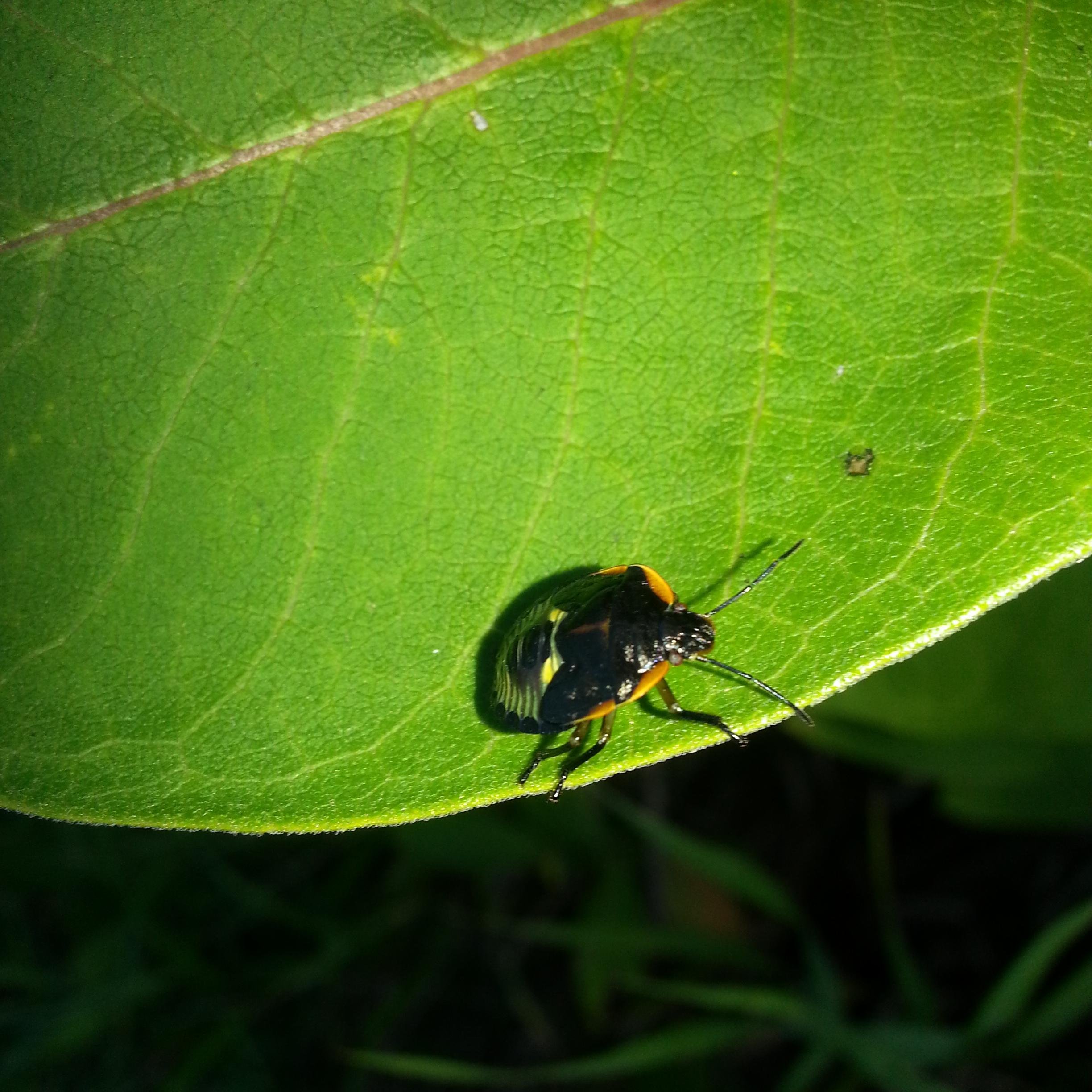 DCPSEcoCamp2014's profile picture. 