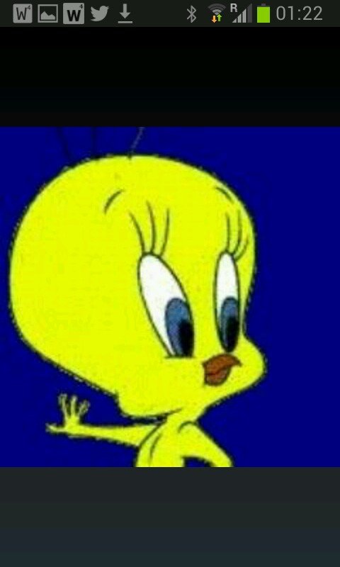 Jetty van Rooy Profile