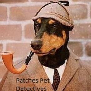 PatchsPetRescue's profile picture. Founded in Allston, MA in the summer of 2014. Patches Pet Rescue(PPR) has been loyally serving the community of pet lovers of the Greater-Boston area by returni