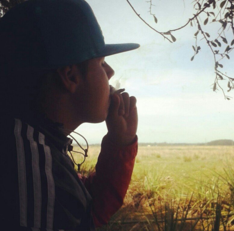 k-nela fina