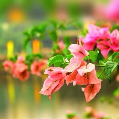 i3ed's profile picture. 