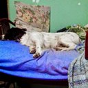 Eve Silva - @9800cb168b3e44a - Twitter