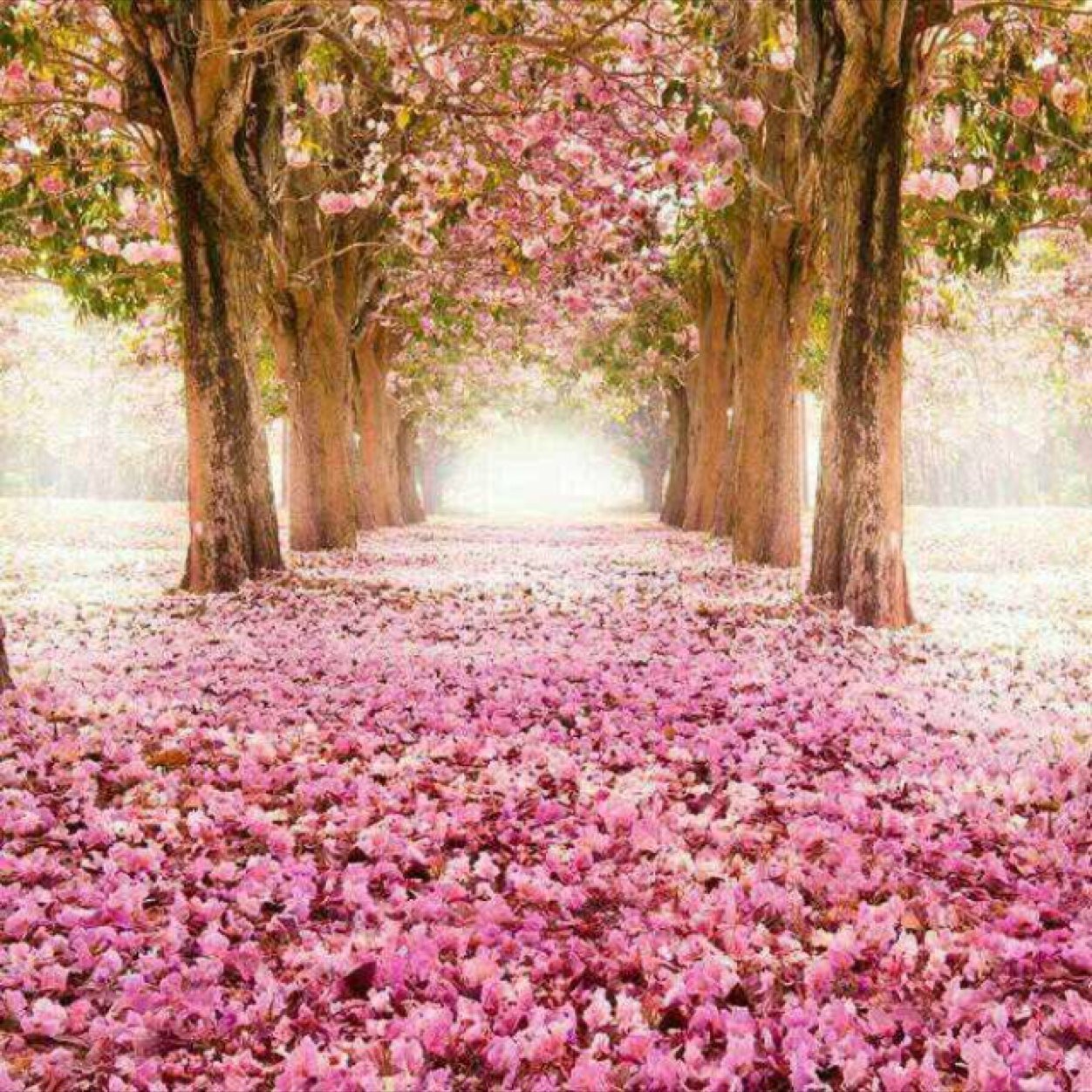 سبحان الله وبحمده سبحان الله العظيم :: اذا مررت من هنا لاتنسي تدعو لوالدي بالرحمه والمغفره
