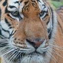 JAZZ DAVIS - @PASS157 - Twitter