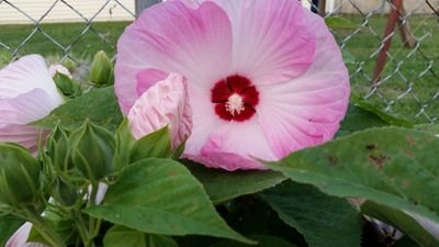 debby_freeman's profile picture. 