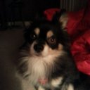 Cameron Downey - @cdowney890 - Twitter