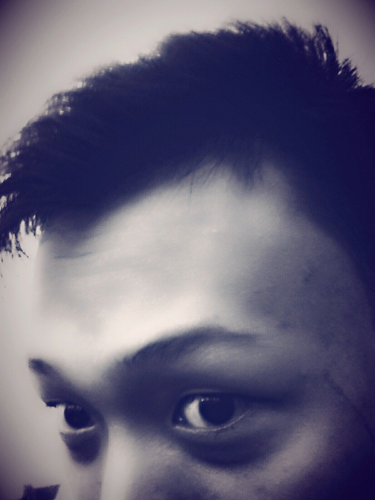 Drieztama's profile picture. you'll never walk alone