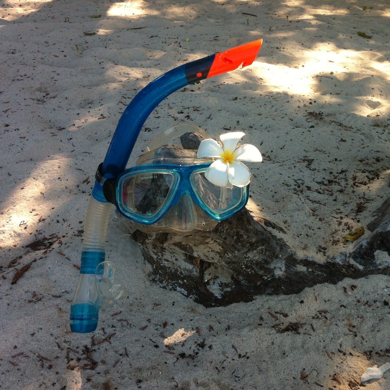 encinacanga's profile picture. 