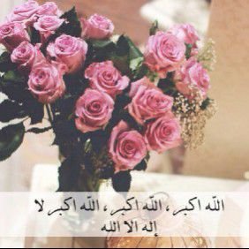 اللهم اني اشتقت لروح لن تعود أبدًا فأجعلها يارب في جنات النعيم ♡!*