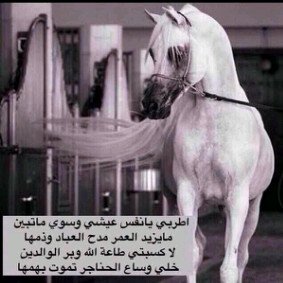 انَ لمَ تْستطٌيعِ تحَقِيقّ مَاترَيْد فَيِ الحَقيْقهِ فاِ حقَاقَهِ فَي احَلاِمكْ. @A_X5_502 الاستقرام