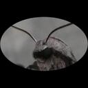 Fred Bucher - @Fred_Bucher - Twitter