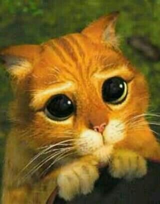 NO_SIRVE's profile picture. CHAUU