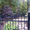 Maria Glisson - @maria_glisson - Twitter