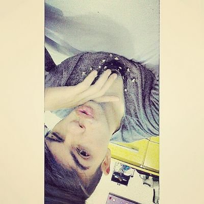 wpp 015 997298755.