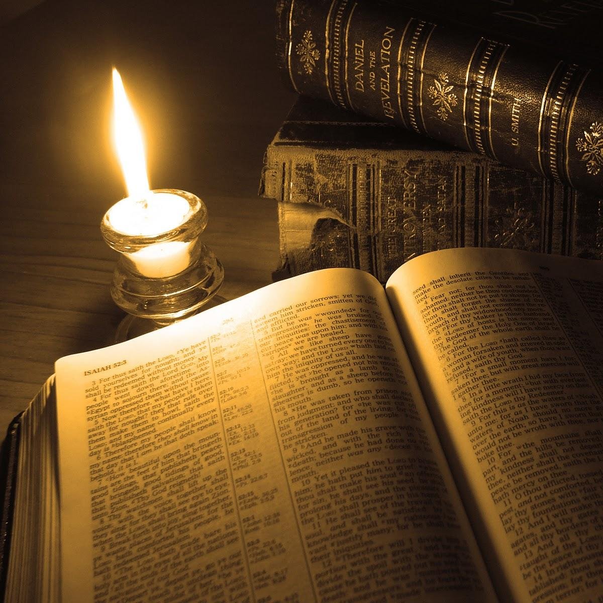 Want your Book or NFT promoted? Just send me a tweet of your Book or NFT and follow me and I will tweet to my followers!