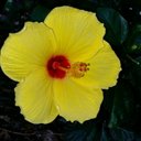 Lisa Spano - @lisamarnette1 - Twitter